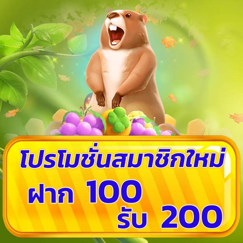mcwin88 เว็บตรง สล็อต ฝากถอนออโต้ ไม่ผ่านเอเย่นต์ 2026