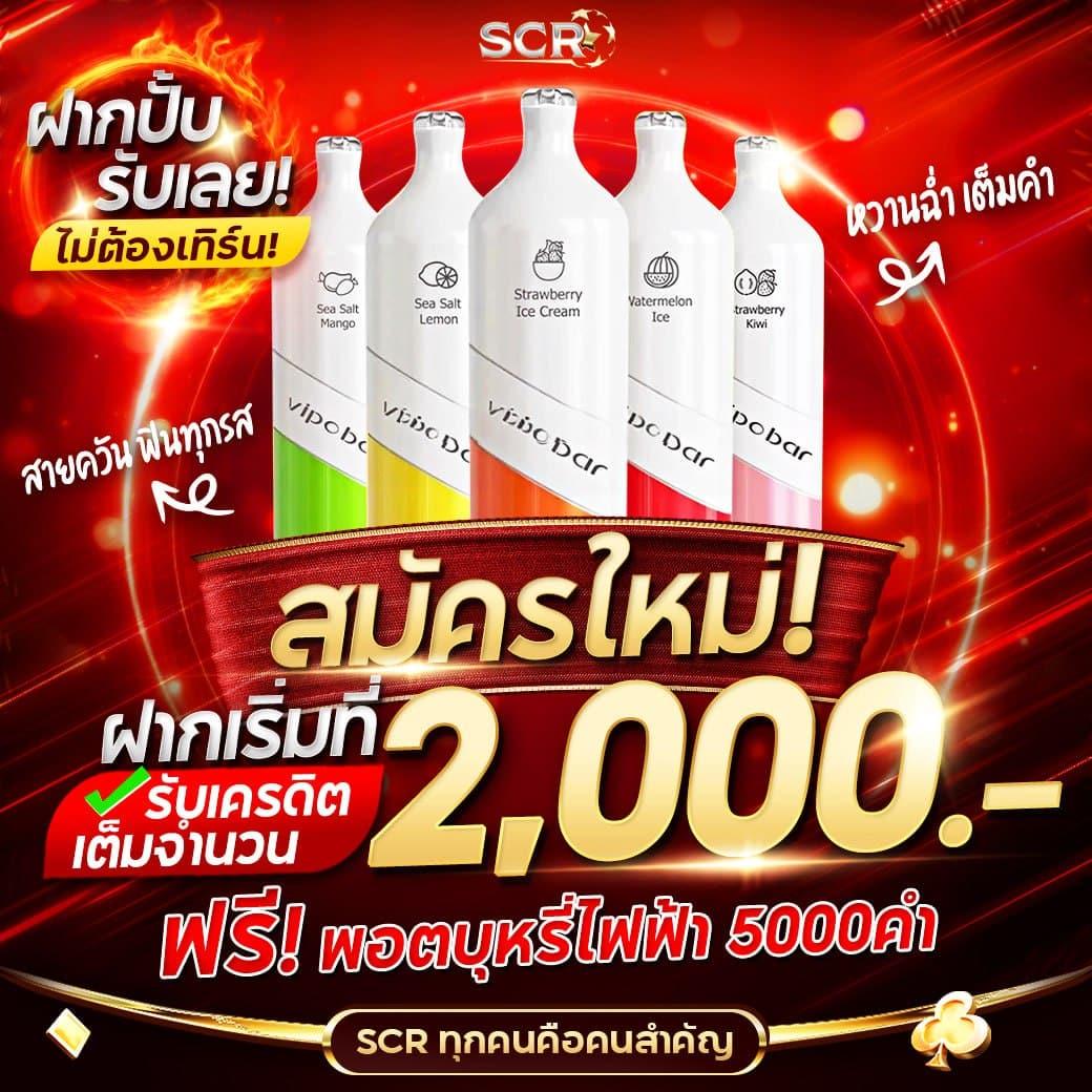 winner555 เว็บตรง สล็อต ฝากถอนออโต้ ไม่ผ่านเอเย่นต์ 2026
